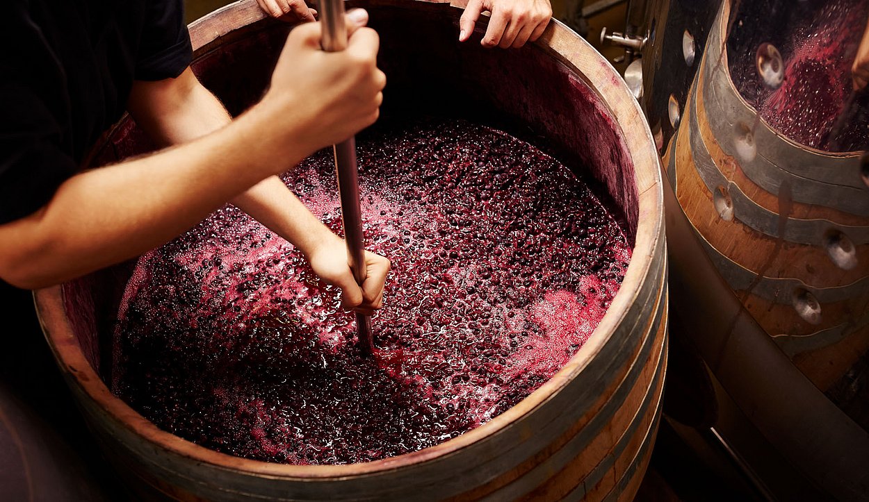 View into a wooden barrel full of grapes being prepared for wine production.