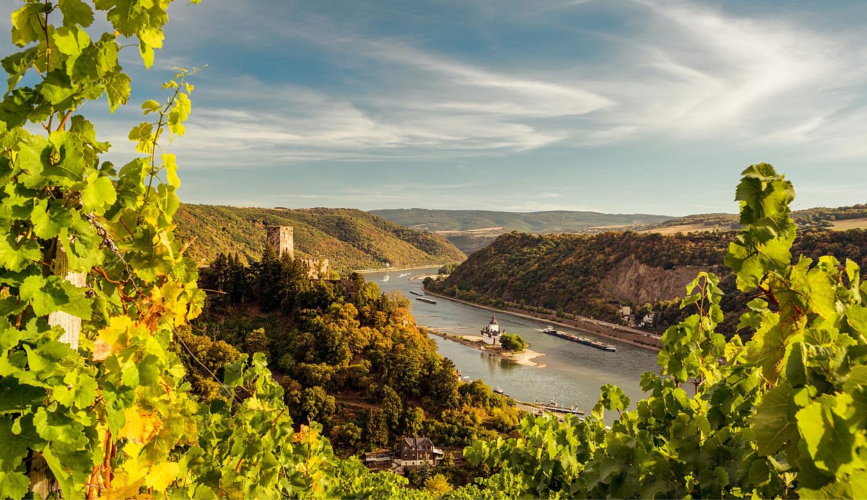 Far view over the Rhine