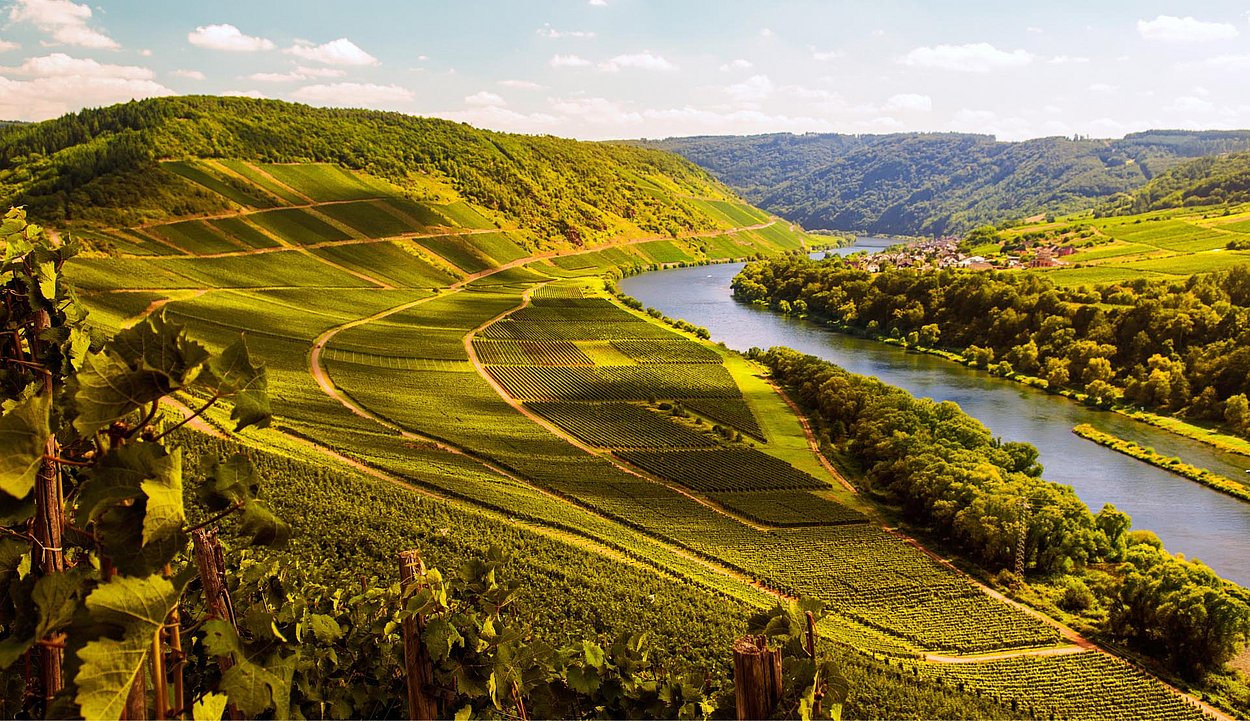 Weitblick über die Mosel